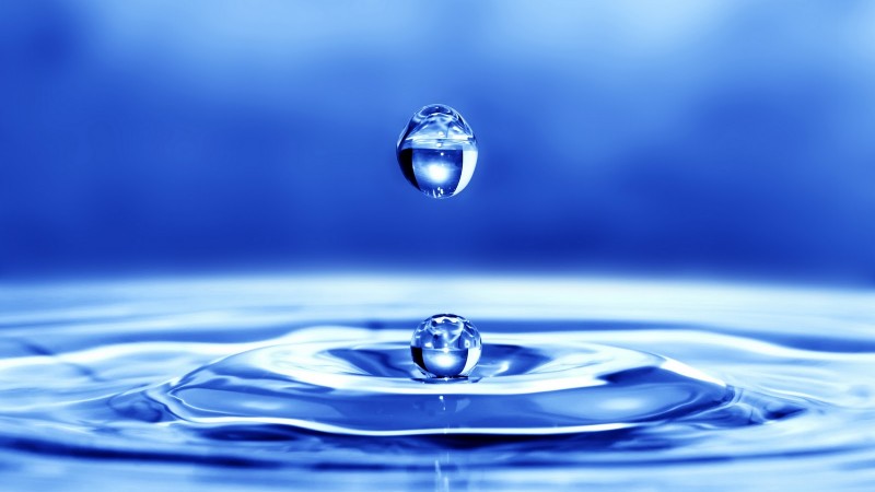 Dia Mundial da Água