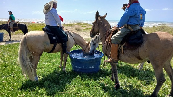 Corsan fornece água para os animais da 39ª Cavalgada do Mar